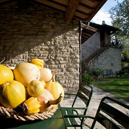Brigolante Guest Apartments Assisi Oda fotoğraf